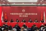 较24年增长95%！宋凯：25年社会足球全面增长 业余球员总数达98万