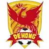 德宏队